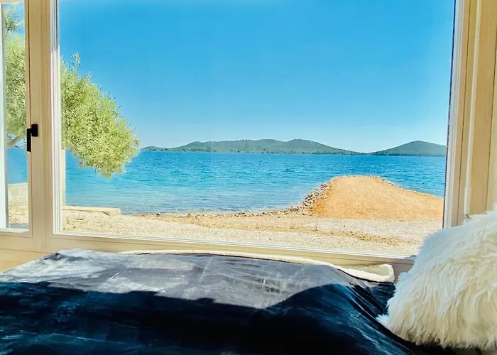 Buqez Eco - 28 - Directly By * Драге