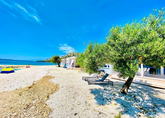 Buqez Eco - 28 - Directly By